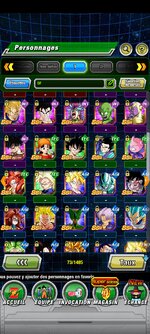 Screenshot_2024-10-23-19-19-29-908_com.bandainamcogames.dbzdokkanww.jpg
