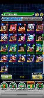 Screenshot_2024-10-23-19-17-22-991_com.bandainamcogames.dbzdokkanww.jpg