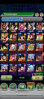 Screenshot_2024-10-23-19-17-20-725_com.bandainamcogames.dbzdokkanww.jpg