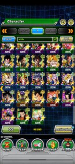Screenshot_20241024_202257_Dokkan.jpg