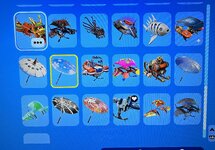 IMG_0596.jpeg