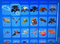 IMG_0597.jpeg