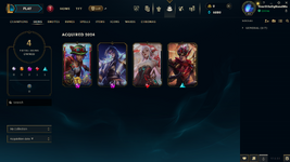 Skins.png