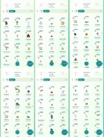 shiny.jpg