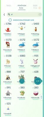 100.jpg