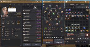 1-Main Lifeskiller.PNG