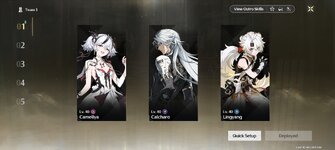 Screenshot_2024-11-14-13-25-41-059_com.kurogame.wutheringwaves.global.jpg