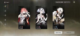 Screenshot_2024-11-14-17-47-56-489_com.kurogame.wutheringwaves.global.jpg