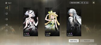Screenshot_2024-11-14-17-21-33-218_com.kurogame.wutheringwaves.global.jpg
