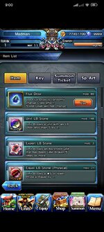 Screenshot_2024-11-17-21-00-36-138_jp.goodsmile.grandsummonersglobal_android.jpg