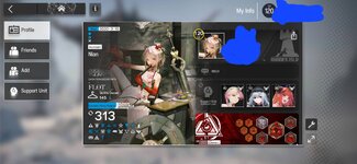 Screenshot_20241118_171841_Arknights.jpg