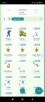 Screenshot_2024-11-18-10-24-22-545_com.nianticlabs.pokemongo.jpg