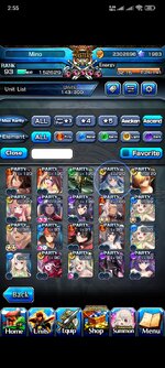 Screenshot_2024-11-22-02-55-05-567_jp.goodsmile.grandsummonersglobal_android.jpg
