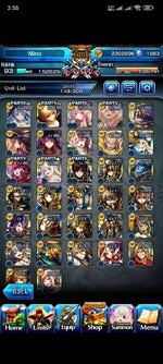 Screenshot_2024-11-22-02-55-34-891_jp.goodsmile.grandsummonersglobal_android.jpg