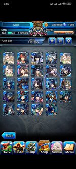 Screenshot_2024-11-22-02-55-49-810_jp.goodsmile.grandsummonersglobal_android.jpg