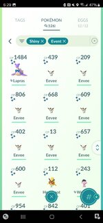 Screenshot_20241122_182906_Pokmon GO.jpg