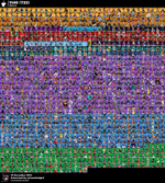 Picsart_24-11-23_15-24-09-827.png