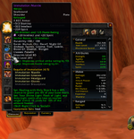 2024_11_25_23_37_40_World_of_Warcraft.png