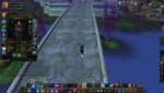 dk f.jpg