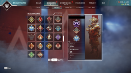 Apex Legends Screenshot 2024.11.27 - 10.41.43.78.png