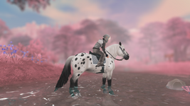 StarStable 2024-11-13 15-45-01.png