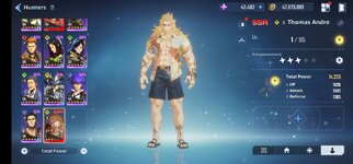 Screenshot_20241128_171232_Solo LevelingArise.jpg