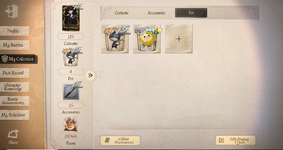 idv5.PNG