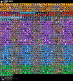 12748504433.png