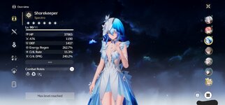 Screenshot_20241204_222123_Wuthering Waves.jpg