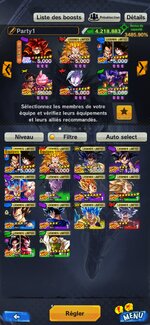 Screenshot_20241206_115300_com.bandainamcoent.dblegends_ww.jpg