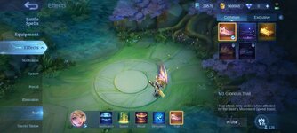 Screenshot_2024-12-10-22-29-46-931_com.mobile.legends.jpg