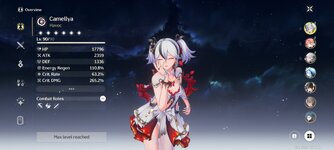 Screenshot_2024-12-13-13-09-06-498_com.kurogame.wutheringwaves.global.jpg
