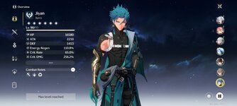 Screenshot_2024-12-13-13-09-55-250_com.kurogame.wutheringwaves.global.jpg