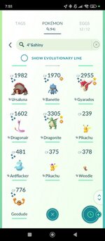 Screenshot_2024-12-13-19-55-40-722_com.nianticlabs.pokemongo.jpg
