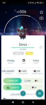 Screenshot_2024-12-13-19-55-57-340_com.nianticlabs.pokemongo.jpg