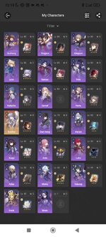Screenshot_2024-12-17-15-18-18-314_com.mihoyo.hoyolab.jpg