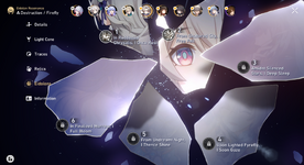 FF E2 Fua Premium06 (2).png