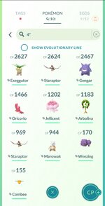 Screenshot_20241217_145932_Pokmon GO.jpg