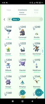 Screenshot_2024-12-18-20-30-01-424_com.nianticlabs.pokemongo.jpg