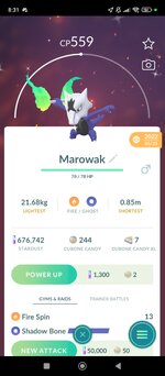 Screenshot_2024-12-18-20-31-15-568_com.nianticlabs.pokemongo.jpg