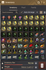 LifeSkill_InventoryP1.png