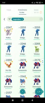 Screenshot_2024-12-24-19-57-27-216_com.nianticlabs.pokemongo.jpg