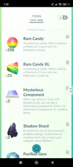 Screenshot_2024-12-24-19-58-35-567_com.nianticlabs.pokemongo.jpg