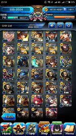 Screenshot_2024-12-28-21-13-24-140_jp.goodsmile.grandsummonersglobal_android.jpg