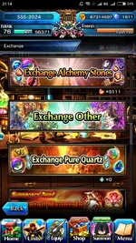Screenshot_2024-12-28-21-14-47-221_jp.goodsmile.grandsummonersglobal_android.jpg