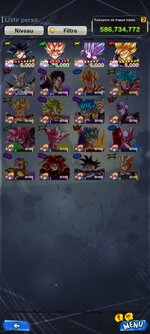 Screenshot_20241230_201131_DB LEGENDS.jpg