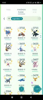 Screenshot_2025-01-01-12-52-11-529_com.nianticlabs.pokemongo.jpg
