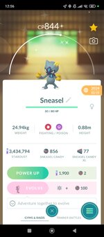Screenshot_2025-01-01-12-56-21-474_com.nianticlabs.pokemongo.jpg