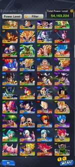 Screenshot_20250109-183853_DB_LEGENDS.jpg