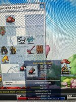 IMG_9273.jpeg